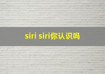 siri siri你认识吗